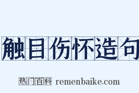 触目伤怀造句是什么意思的图片